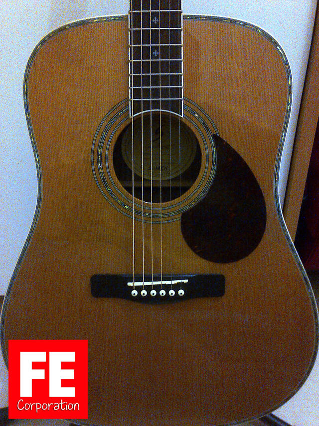Gitar Akustik Samick Greg Bennett D-8
