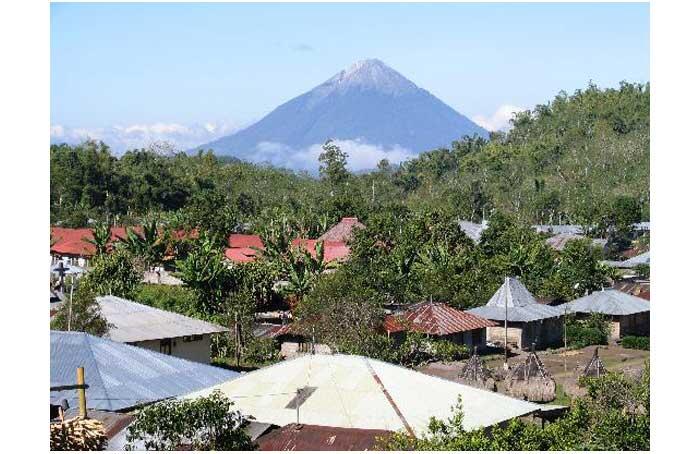 KOPI BAJAWA......... Harumnya Mendunia