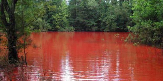 Ini Gan Danau Indonesia yang Indah dan Langka