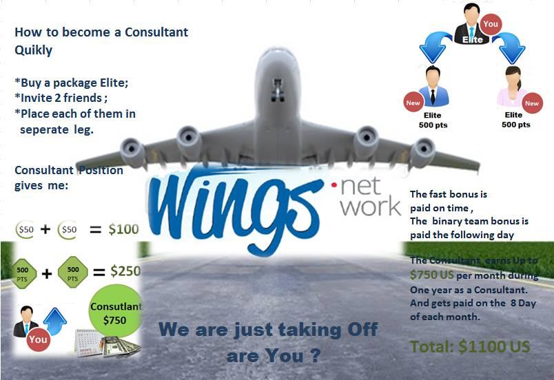 Wings Network (Get Passive $750 Monthly)