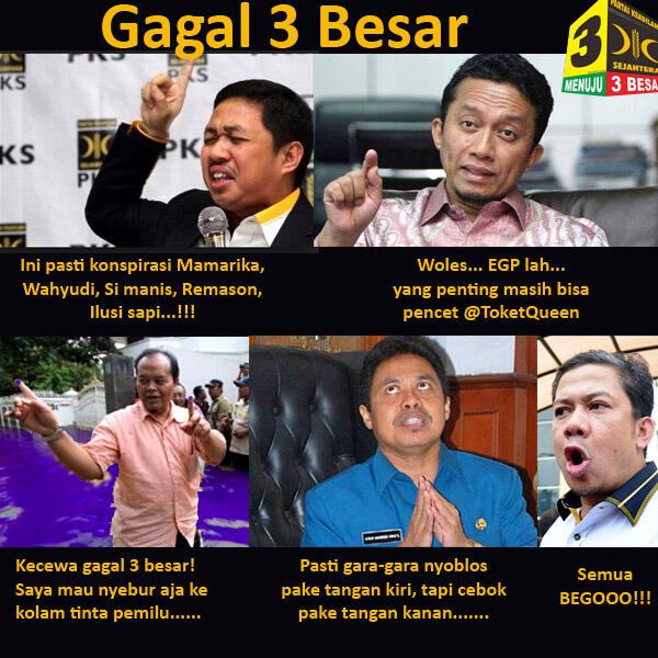 Anis Matta: Koalisi Merah Putih PDIP-PKS Itu Indah