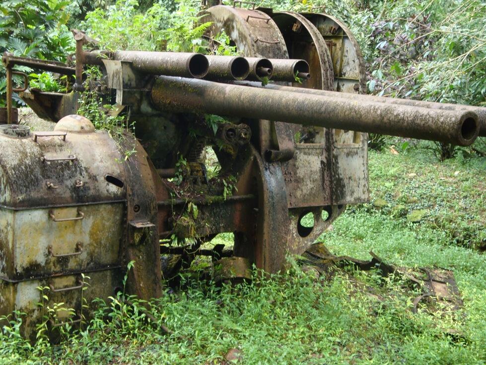 &#91;PICT&#93; Sisa-sisa Perang Dunia II yang terperangkap pohon 