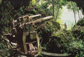 &#91;PICT&#93; Sisa-sisa Perang Dunia II yang terperangkap pohon 
