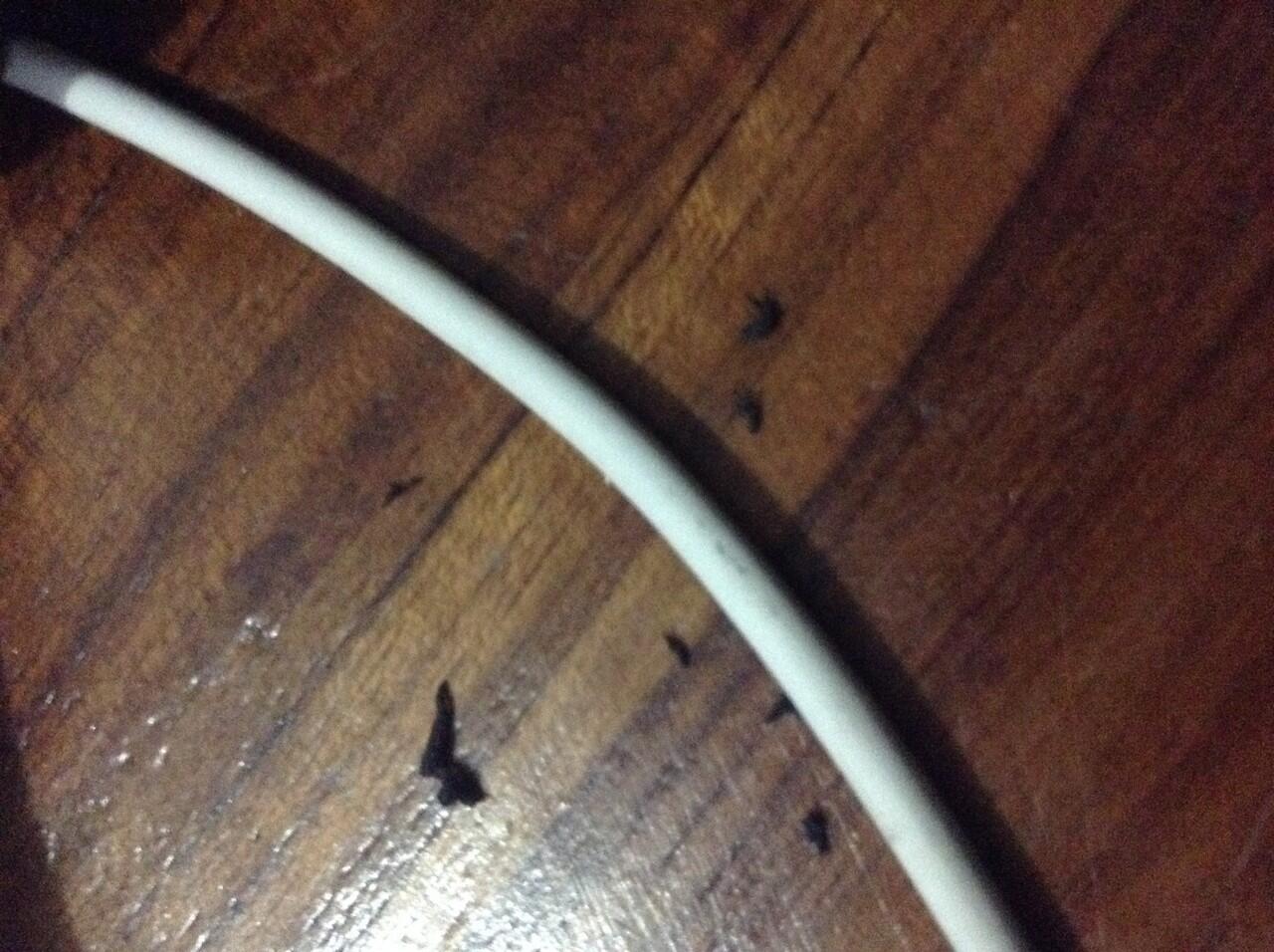 Cara Membersihkan Kabel Data iPhone/iPod