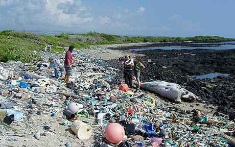 Pulau dari sampah di Pasifik (The Great Pasific Garbage Patch) 