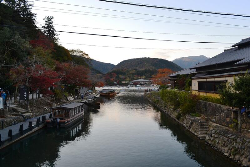 Momiji : Gugur dalam Keindahan (Sebuah Legenda Pohon di Jepang)
