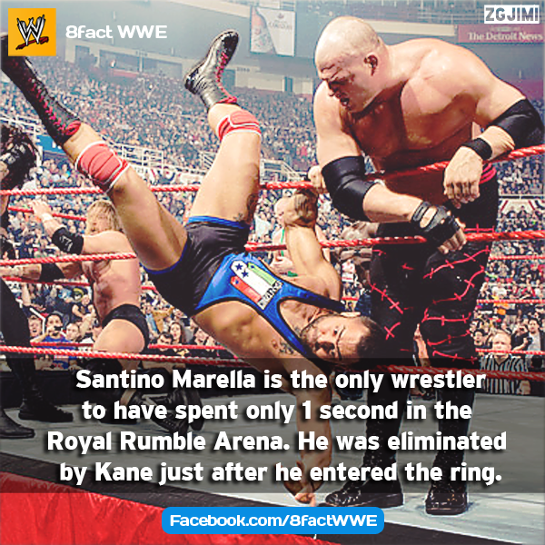 fakta - fakta unik wwe