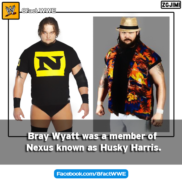 fakta - fakta unik wwe