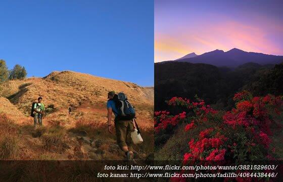 Gunung Rinjani: Menyingkap Panorama Alam Rumah dari Dewi Anjani &#91;PIC&#93;