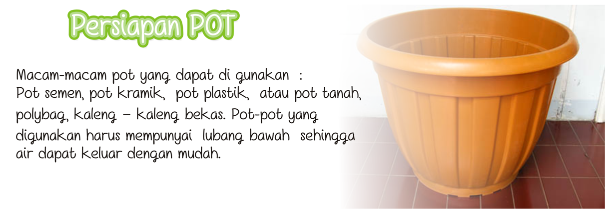 &#91;TIPS&#93; Berkebun dalam Ruangan, Kenapa Tidak ? &#91;PICT&#93;