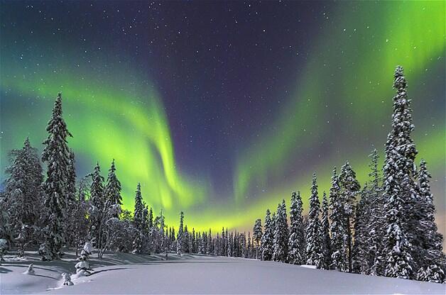 Parade Aurora Borealis