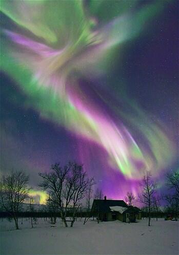 Parade Aurora Borealis
