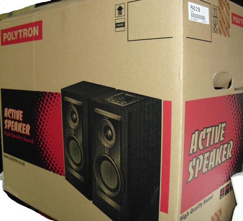SPEAKER AKTIP POLYTRON PAS 21M
