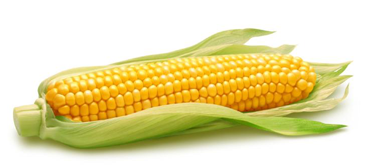 7 Makanan Penambah Darah