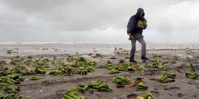 ini gan,benda aneh yang pernah hanyut di pantai