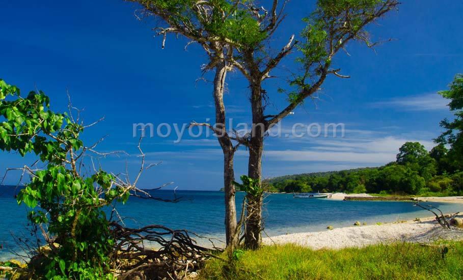 Pulau Moyo, Tempat Yang Indah Untuk Bulan Madu