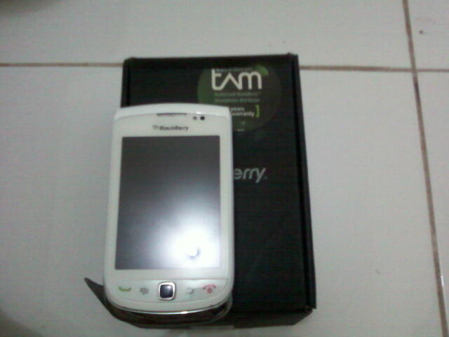 Jual BB Torch