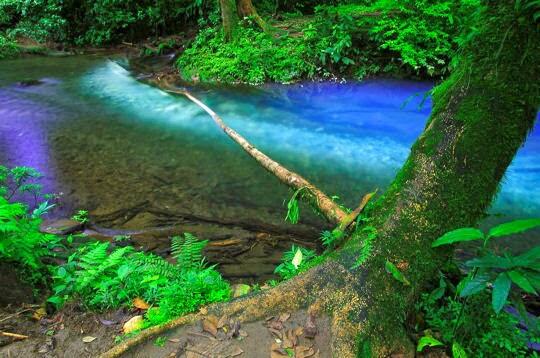  Rio Celeste - Sungai Biru Langit Costa Rica 