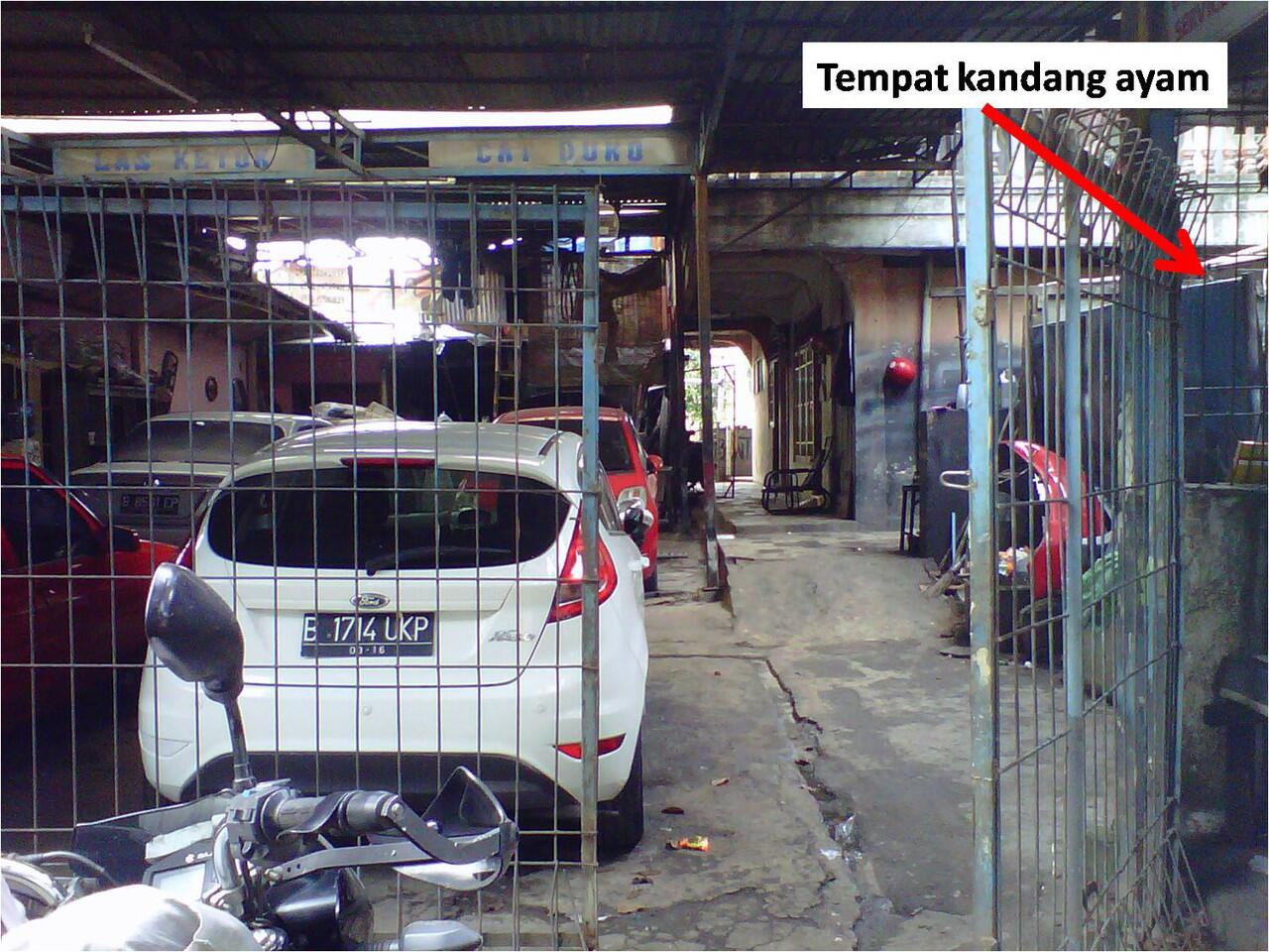 Jatuh dari motor gara2 ayam (jalur casablanca-satrio)