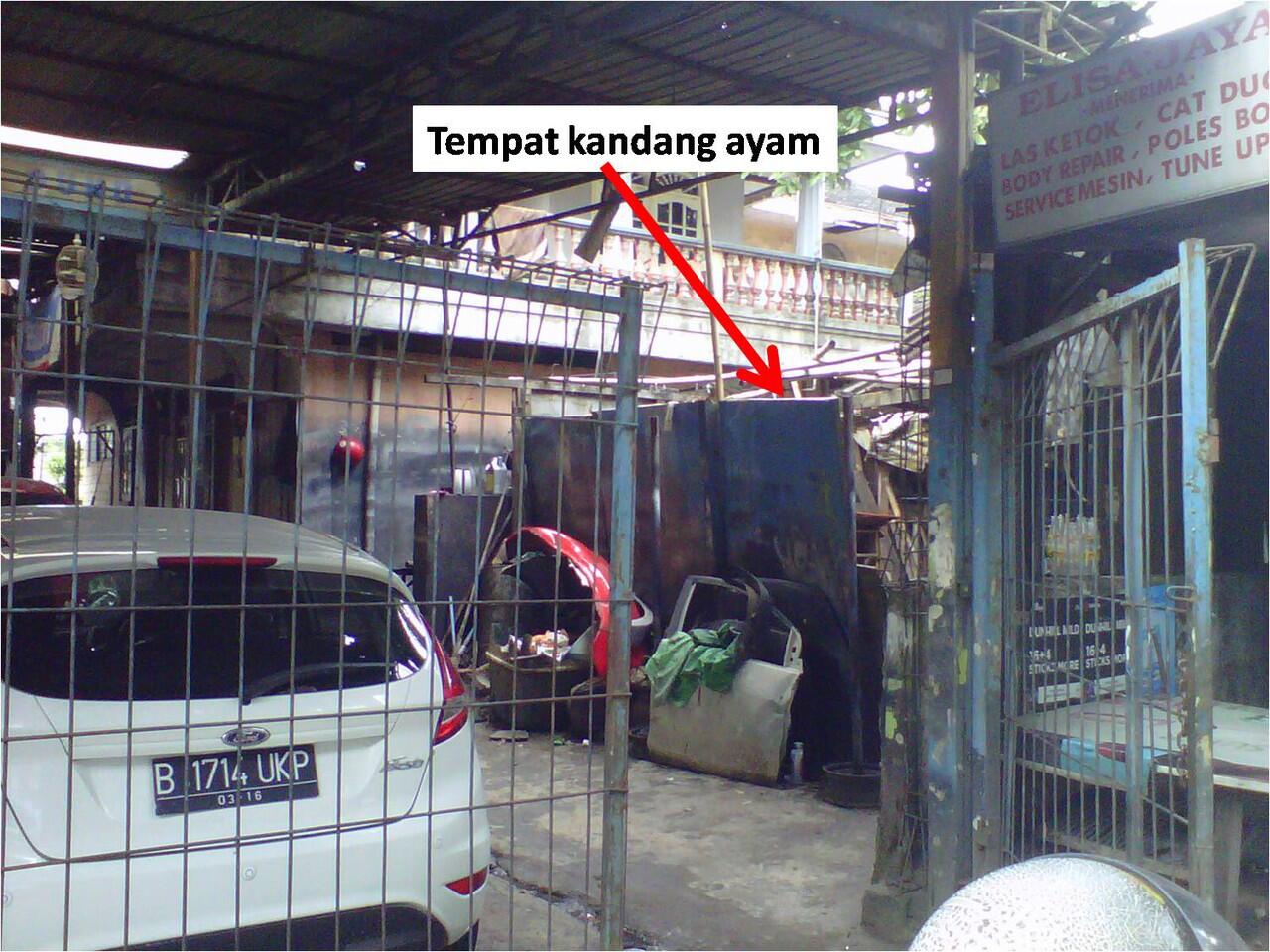 Jatuh dari motor gara2 ayam (jalur casablanca-satrio)