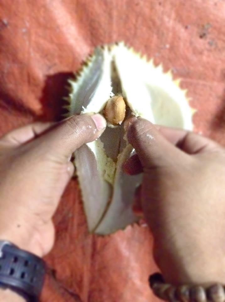Belah Duren....