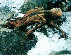 Otzi, Si Manusia es, Mumi tertua dibumi