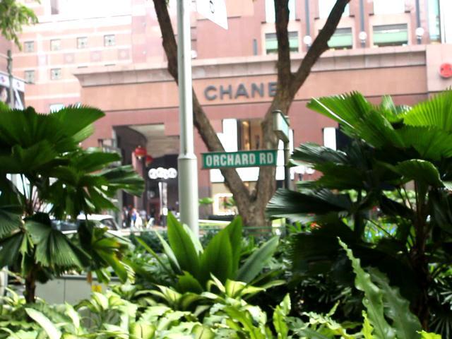 Street instrumental anak2 singapore di Orchard road - traveling to singapore