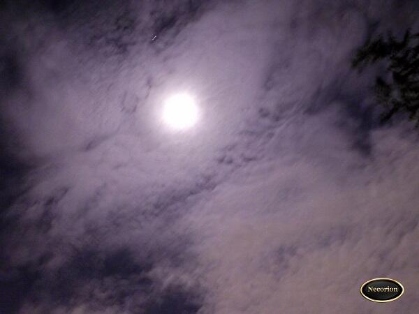 &#91;MUST SEE&#93; PENGGANTI BLOOD MOON NIH GAN 
