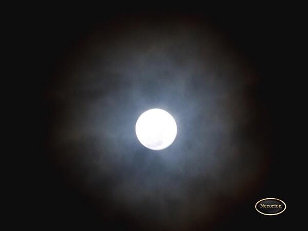 &#91;MUST SEE&#93; PENGGANTI BLOOD MOON NIH GAN 