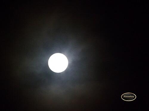 &#91;MUST SEE&#93; PENGGANTI BLOOD MOON NIH GAN 