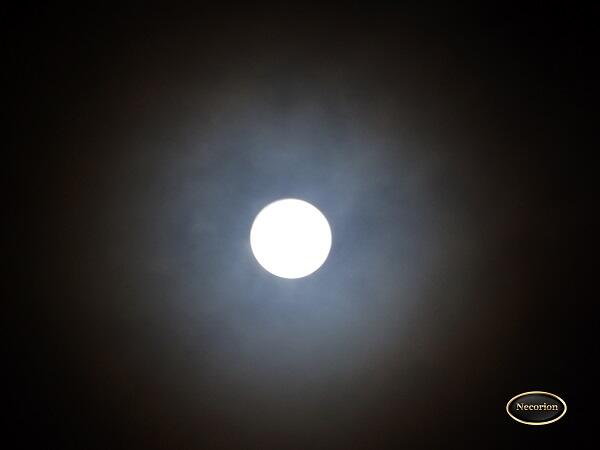 &#91;MUST SEE&#93; PENGGANTI BLOOD MOON NIH GAN 