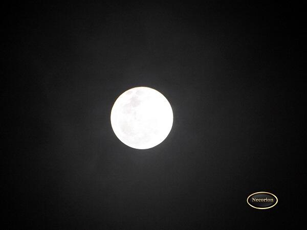 &#91;MUST SEE&#93; PENGGANTI BLOOD MOON NIH GAN 