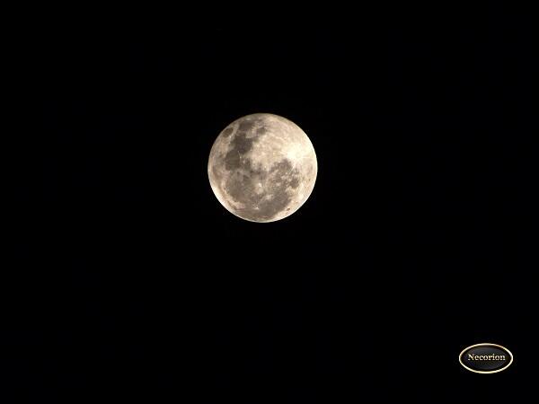 &#91;MUST SEE&#93; PENGGANTI BLOOD MOON NIH GAN 