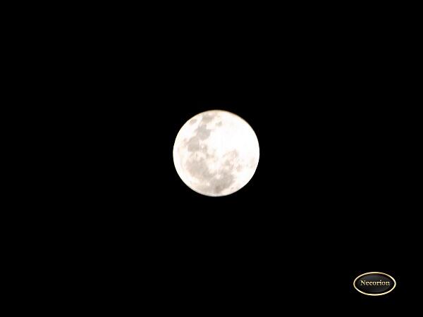 &#91;MUST SEE&#93; PENGGANTI BLOOD MOON NIH GAN 