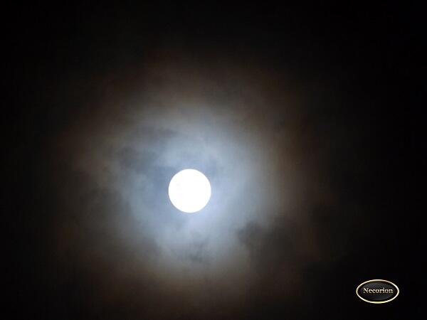 &#91;MUST SEE&#93; PENGGANTI BLOOD MOON NIH GAN 