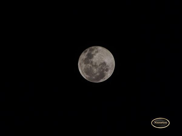 &#91;MUST SEE&#93; PENGGANTI BLOOD MOON NIH GAN 