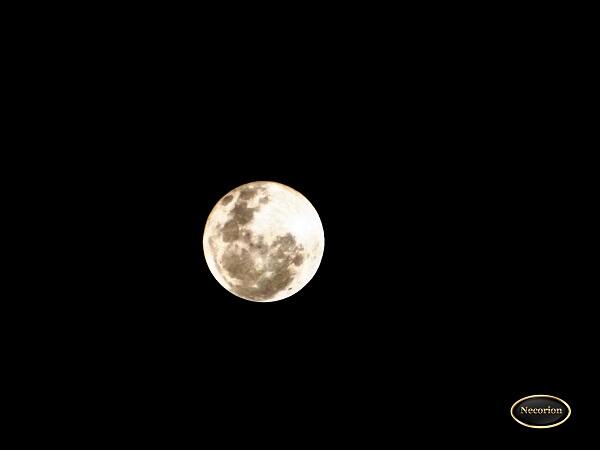 &#91;MUST SEE&#93; PENGGANTI BLOOD MOON NIH GAN 