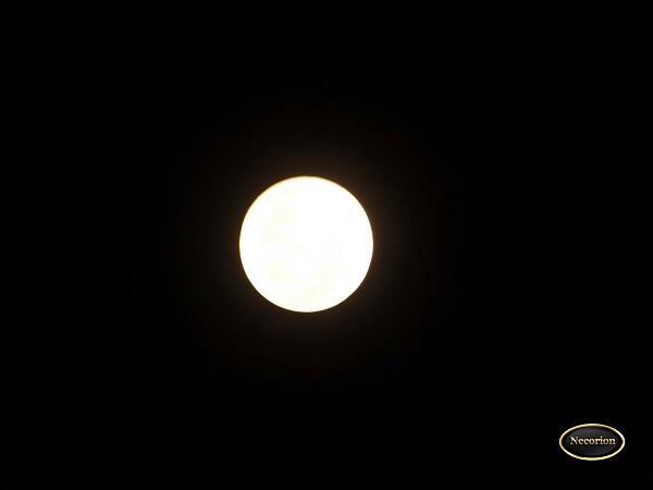 &#91;MUST SEE&#93; PENGGANTI BLOOD MOON NIH GAN 