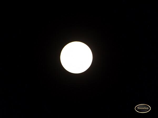 &#91;MUST SEE&#93; PENGGANTI BLOOD MOON NIH GAN 