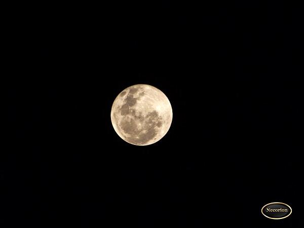 &#91;MUST SEE&#93; PENGGANTI BLOOD MOON NIH GAN 