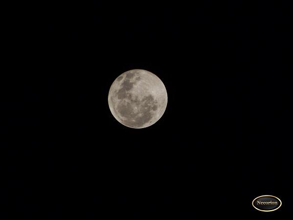 &#91;MUST SEE&#93; PENGGANTI BLOOD MOON NIH GAN 