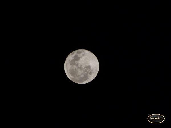&#91;MUST SEE&#93; PENGGANTI BLOOD MOON NIH GAN 