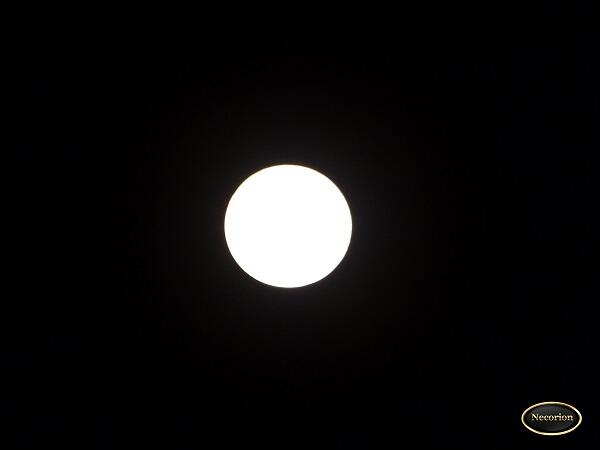 &#91;MUST SEE&#93; PENGGANTI BLOOD MOON NIH GAN 