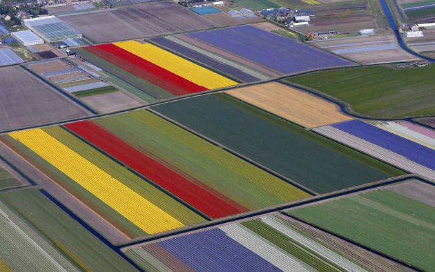 (Foto) Taman Keukenhof, Taman Bunga Terbesar di Dunia