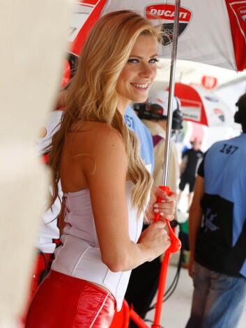 (Terbaru) Paddock Girl MOTOGP 2014 GP Texas Americas ++PICT