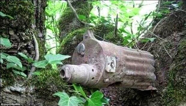 SENJATA YANG TERTANAM DI POHON RATUSAN TAHUN SISA DUNIA PERANG KEDUA GAN