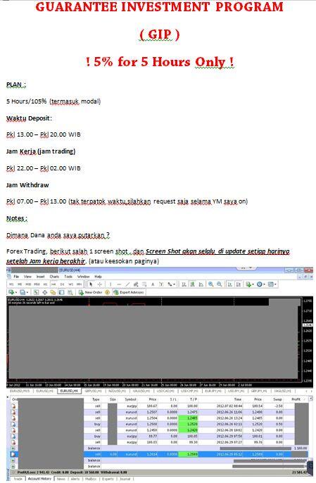 HYIP 5 Hours for 5% cepetan gan ! terbatas ! 