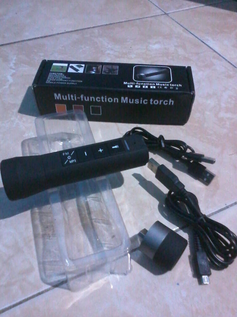 Multi-Function Music Torch