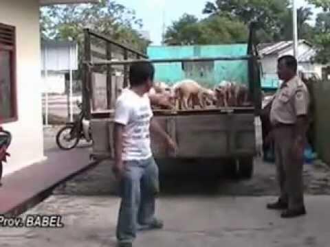 kendaraan kendaraan yang menyebalkan dijalanan