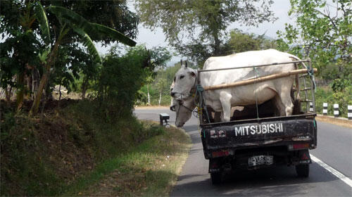 kendaraan kendaraan yang menyebalkan dijalanan